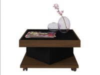 Vega Burega Coffee Table on white background with decor items